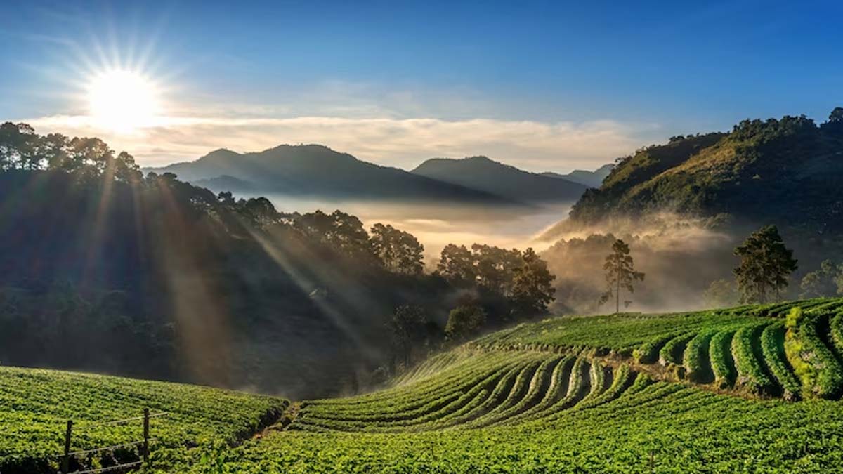 Tour Package in Guwahati